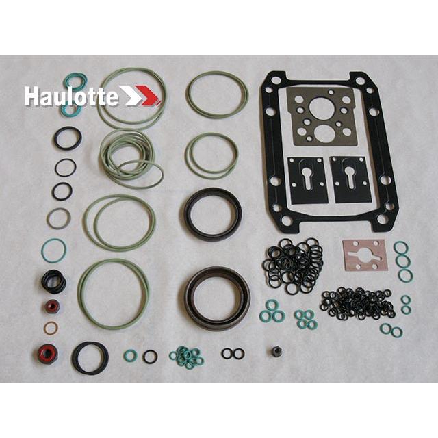 2505003120 Seal Kit | Genuine Haulotte