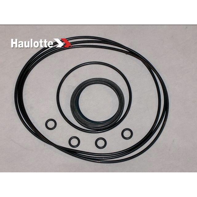 2505003220 Seals Kit | Genuine Haulotte