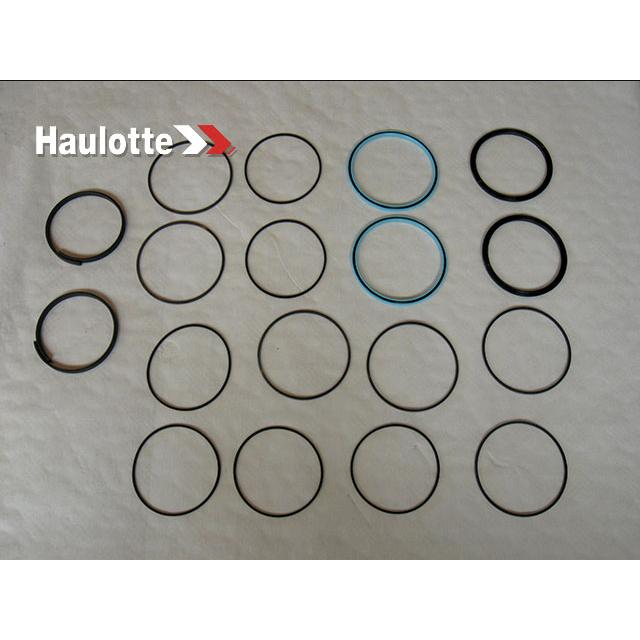 2505004930 Seal Kit V2 | Genuine Haulotte
