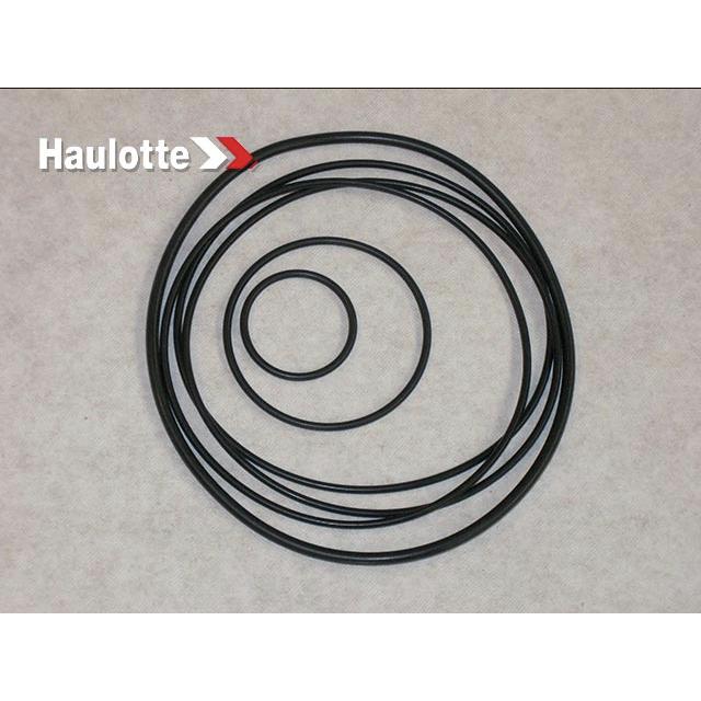 2505006380 Seal | Genuine Haulotte