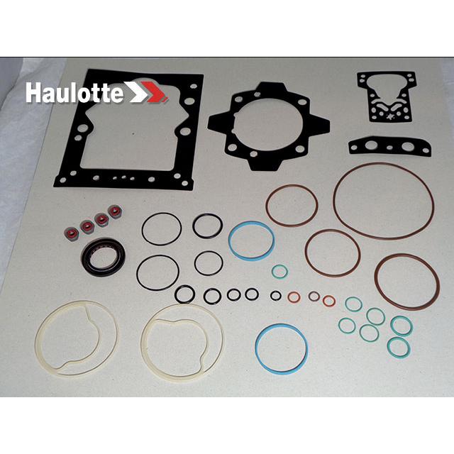 2505008120 Seals Kit | Genuine Haulotte