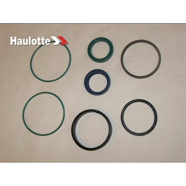 2505008790 Seals Kit | Genuine Haulotte