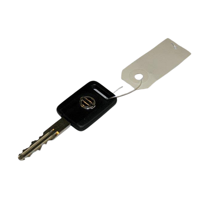 Part Number 2820307840 Microchip Key fits Haulotte