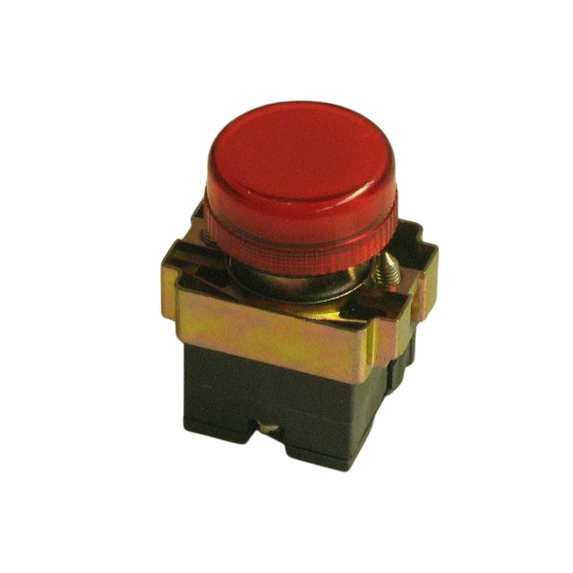 2901002100 Red Light Indicator | Genuine Haulotte