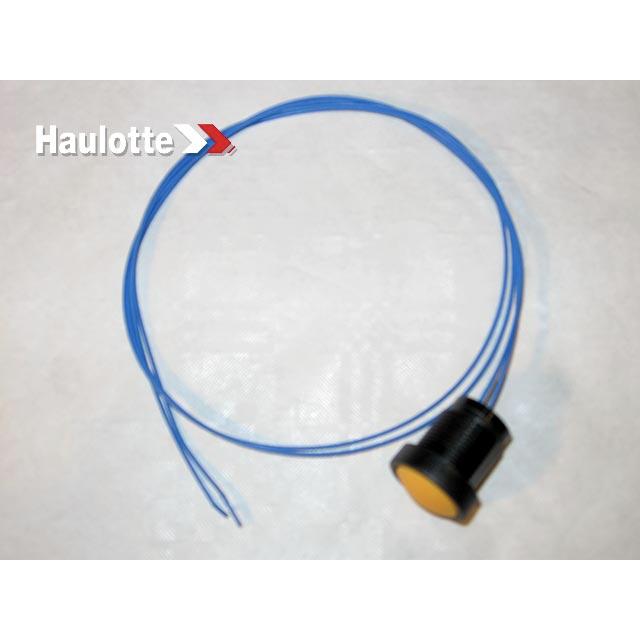 2901006130 Switch | Genuine Haulotte