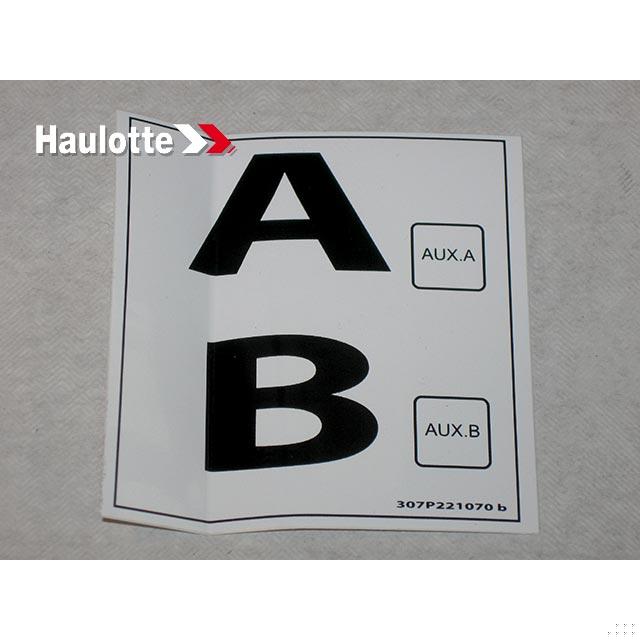 307P221070 Indicator | Genuine Haulotte