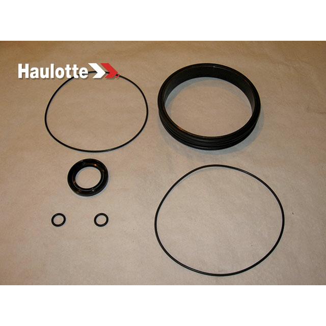 4000022460 Seals Kit | Genuine Haulotte