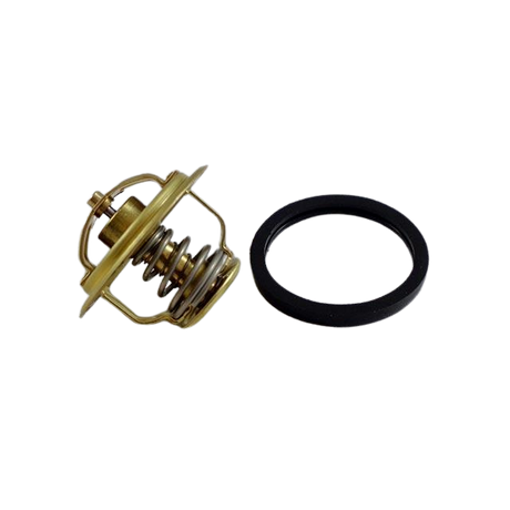 Part Number 4000702620 Water Temp Thermostat fits Haulotte