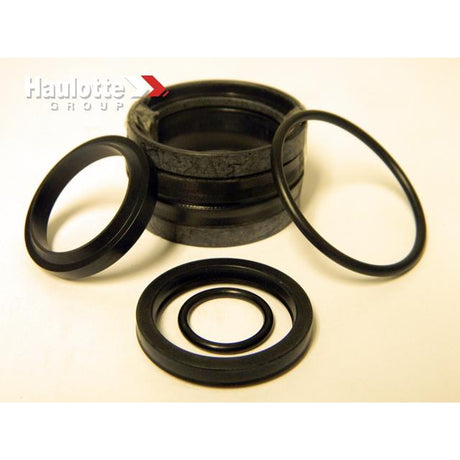 Part Number B02-13-0115 Seal Kit-Tel & Lev Cyl-Falcon fits Haulotte
