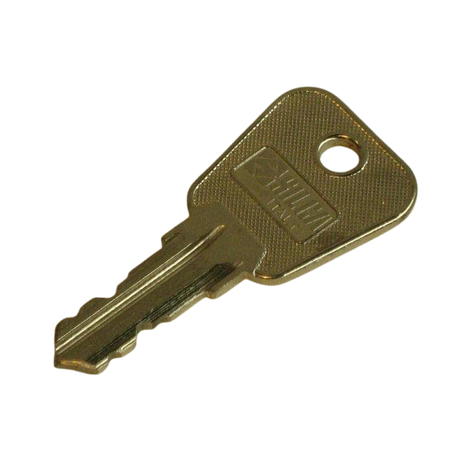 Part Number DINO48.2146 Key fits Haulotte