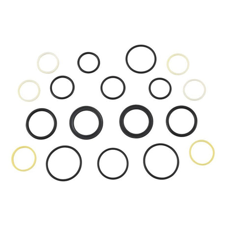 JLG 10721758 Seal Kit, Valve Section (Lull #P21758) - Genuine JLG Replacement Part | BHE Lift Parts