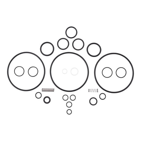 JLG 10731590 Seal Kit (Lull #P31590) - Genuine JLG Replacement Part | BHE Lift Parts