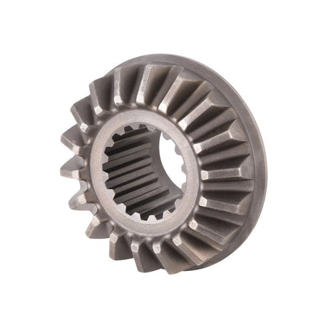 JLG 70025856 Differential Side Gear - Genuine JLG Replacement Part | BHE Lift Parts