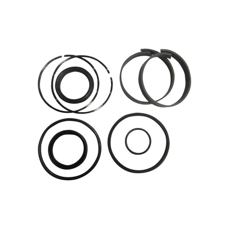 JLG 900123 Seal Kit Mast/Jib Cylind T8/11 - Genuine JLG Replacement Part | BHE Lift Parts