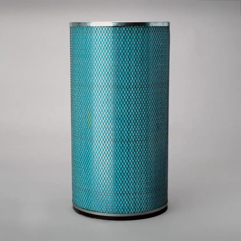 P117781DFS Air Filter Safety | Genuine Genie