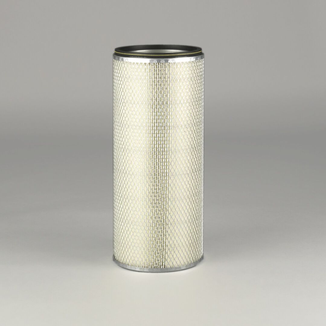 P133179 D/S, Air Filter, Safety | Donaldson
