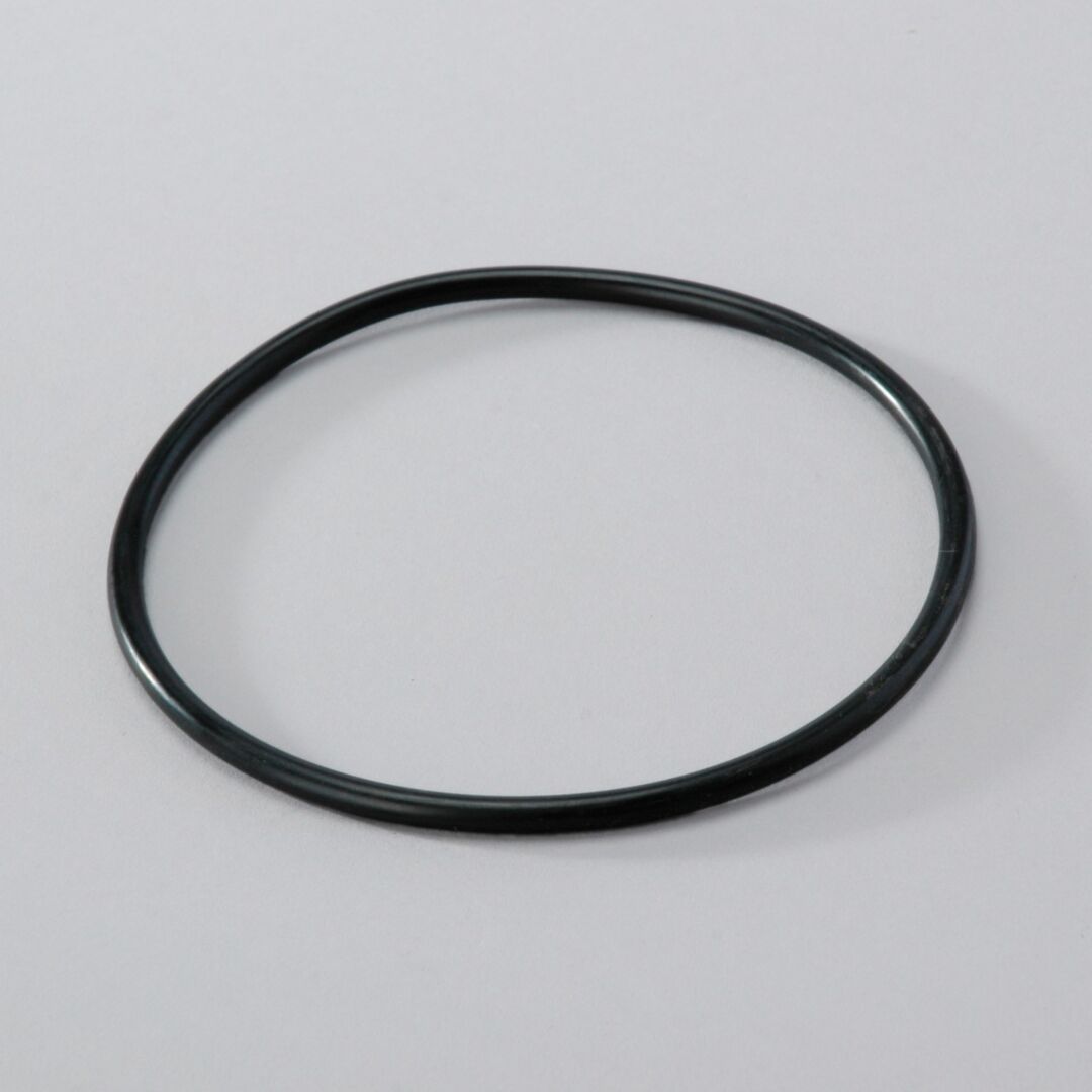 P160016 D/S, O-Ring, Hydraulic | Donaldson