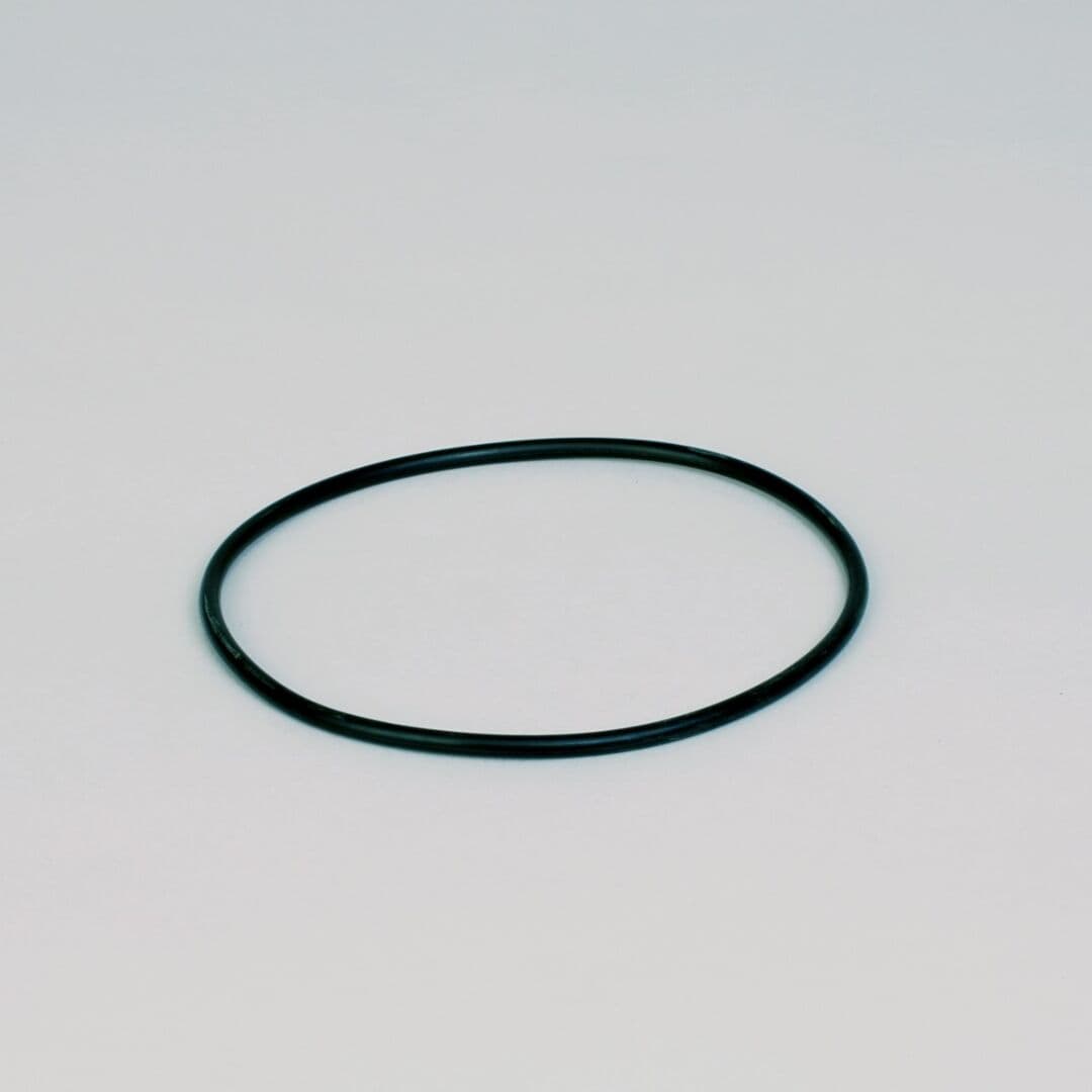 P160137 D/S, O-Ring, Hydraulic | Donaldson