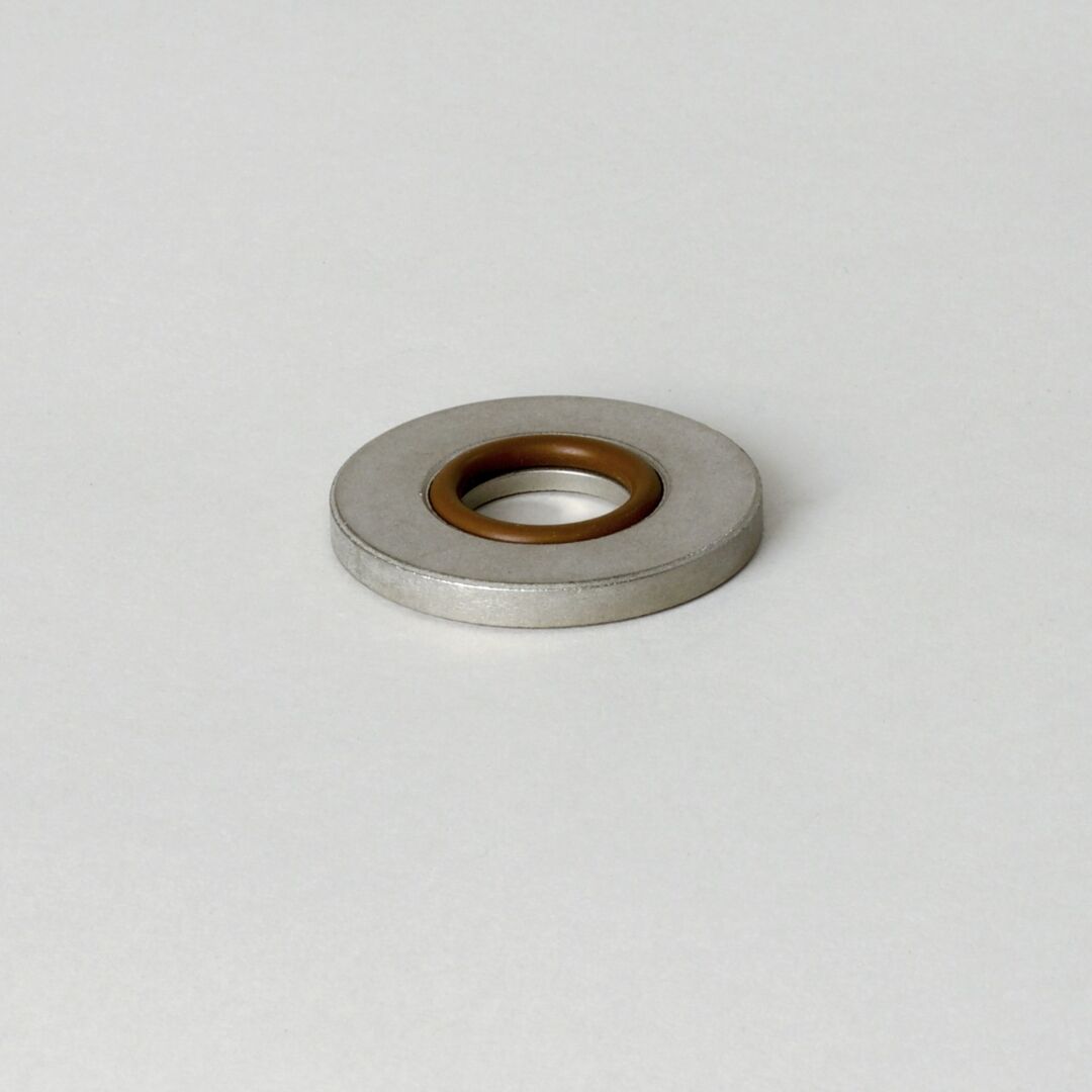 P161852 D/S, Gasket Washer | Donaldson