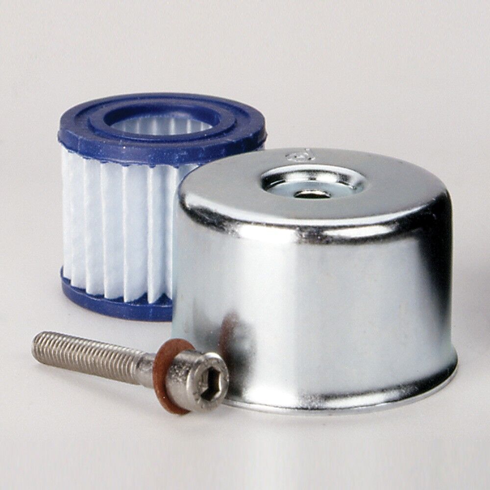 P172434 D/S, Breather, Hydraulic Cylind | Donaldson