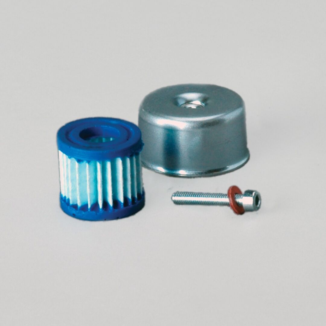 P173330 D/S, Breather, Hydraulic Cylind | Donaldson