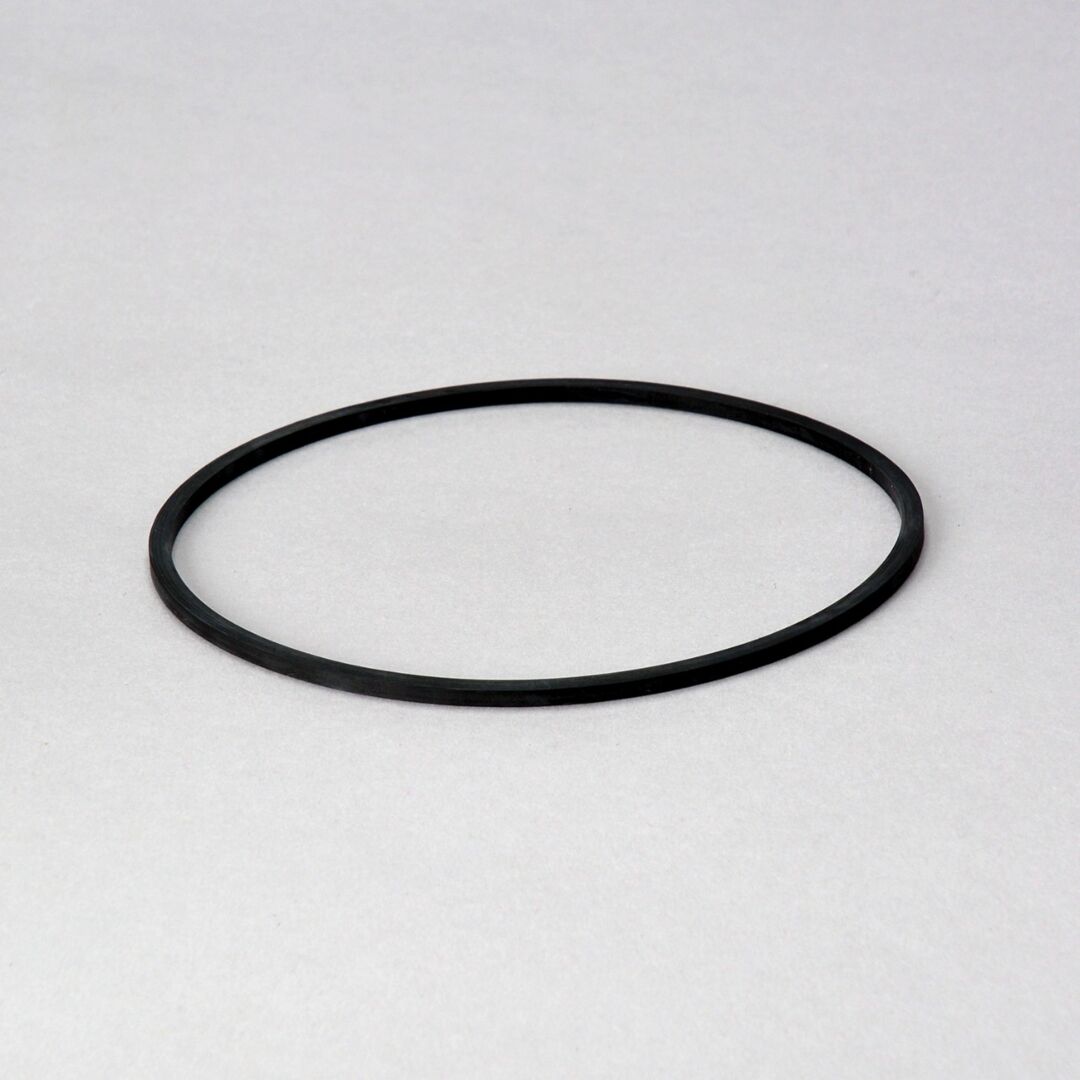 P174997 D/S, Gasket | Donaldson