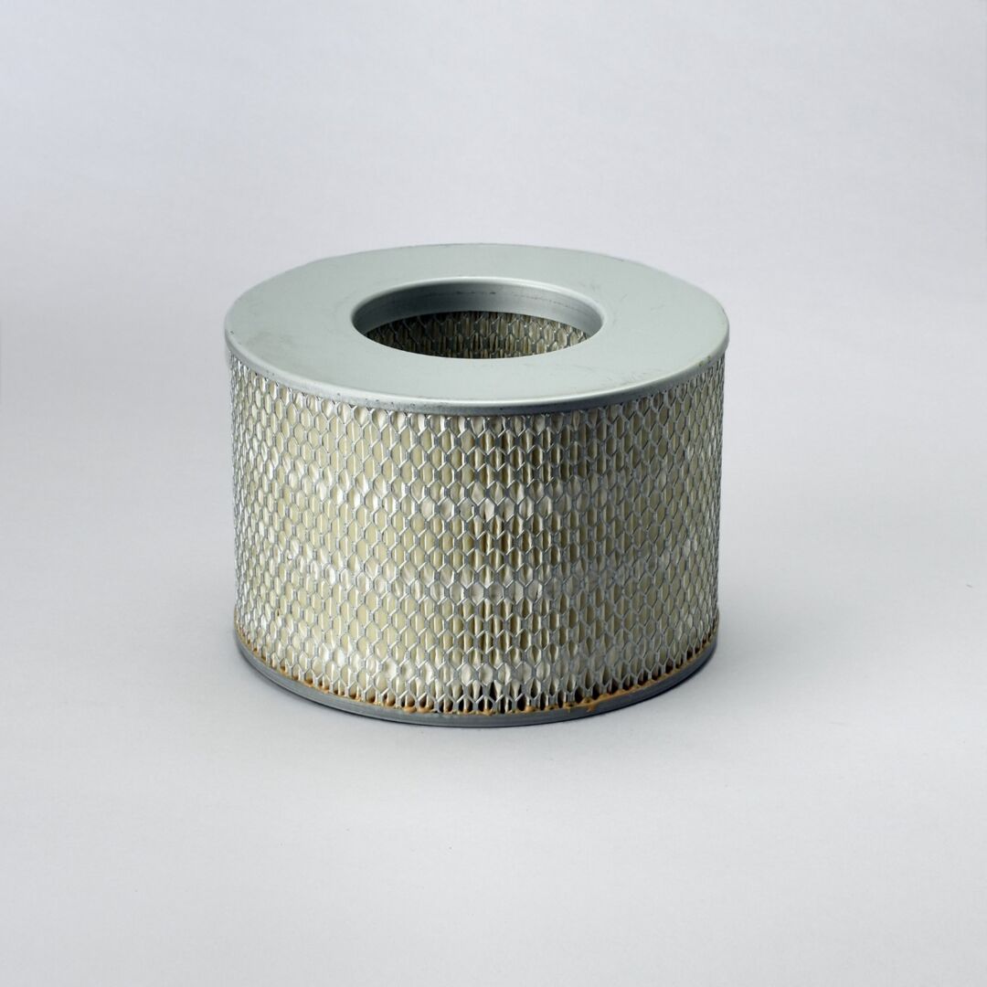 P500125 D/S, Air Filter, Primary Round | Donaldson