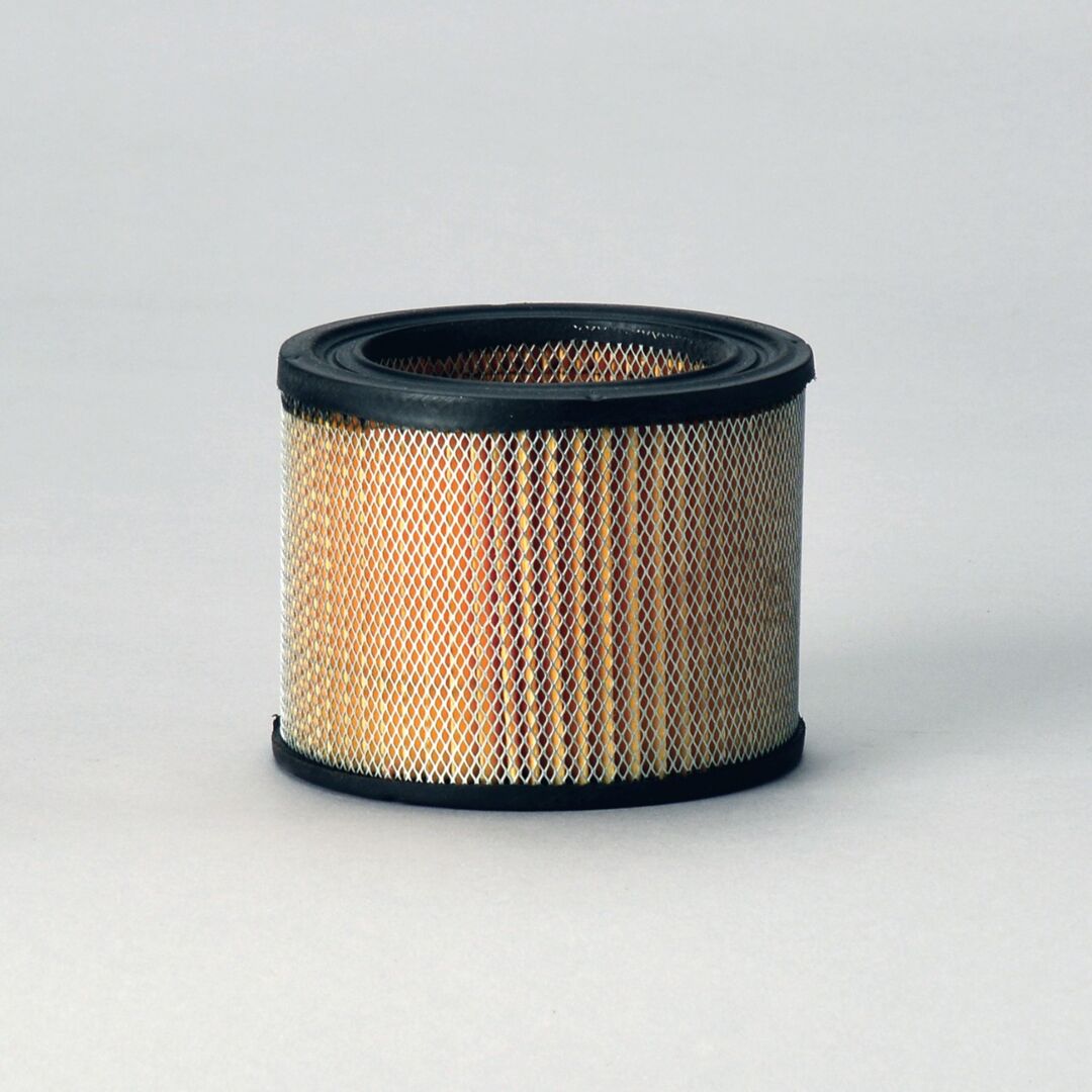 P528220 D/S, Air Filter, Primary Round | Donaldson