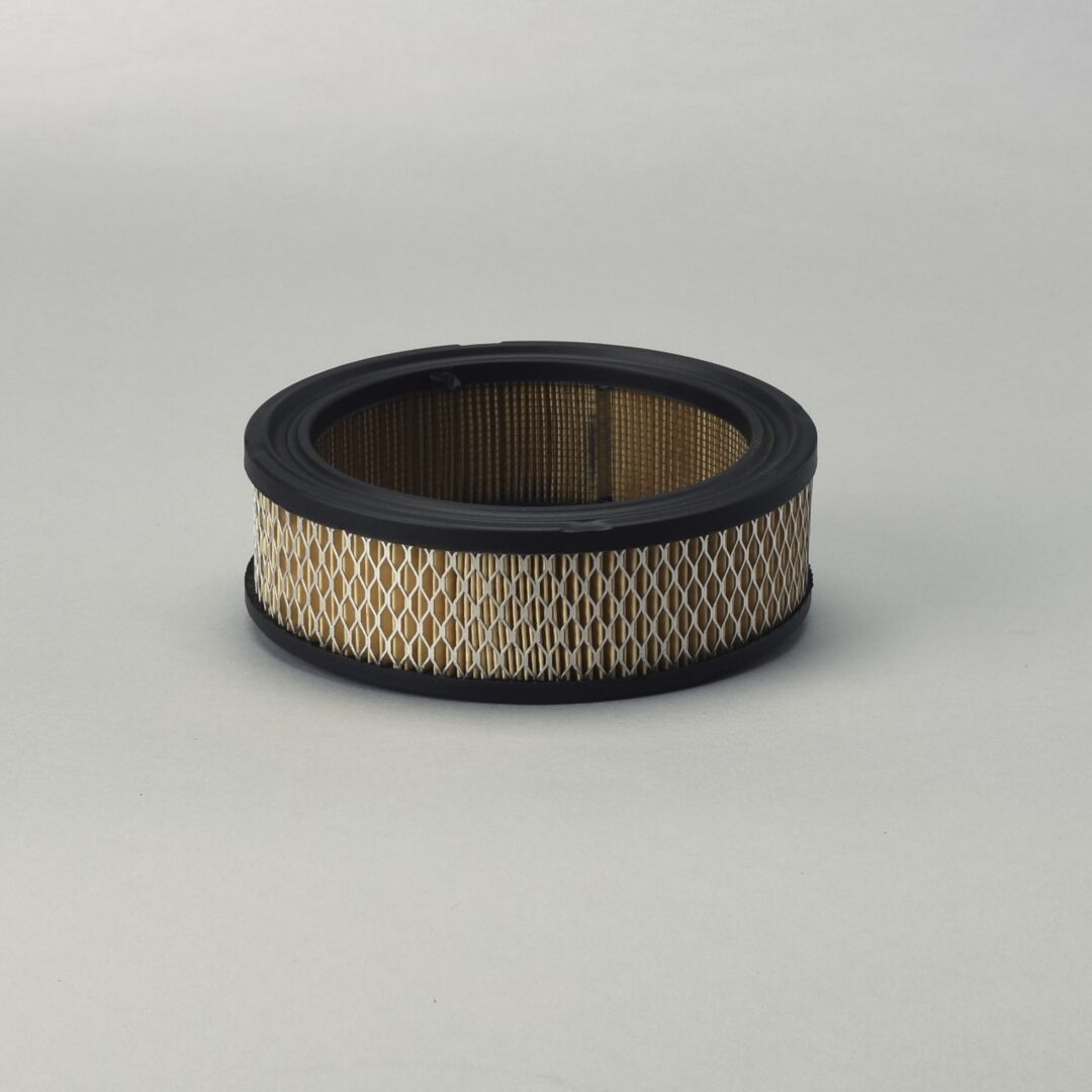 P528231 Ds, Air Prmy, Case Of 6 | Donaldson