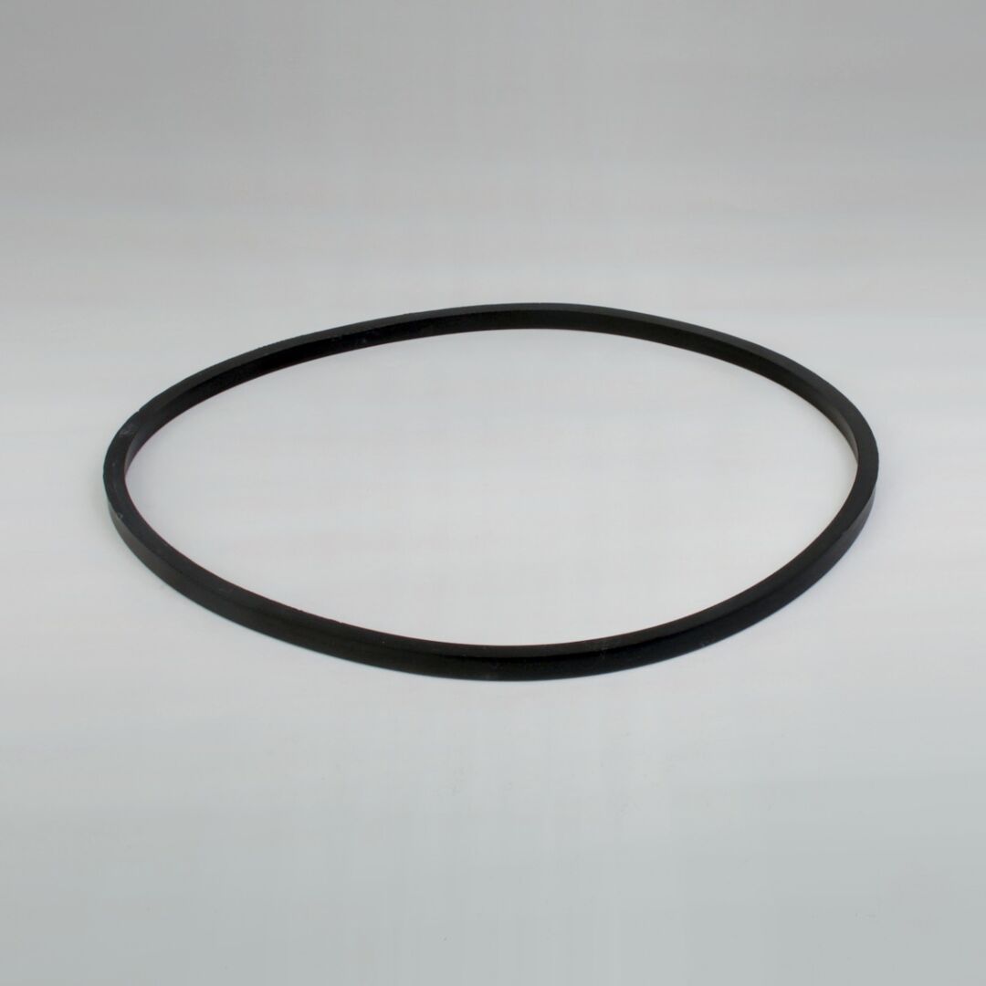 P535559 D/S, Gasket | Donaldson