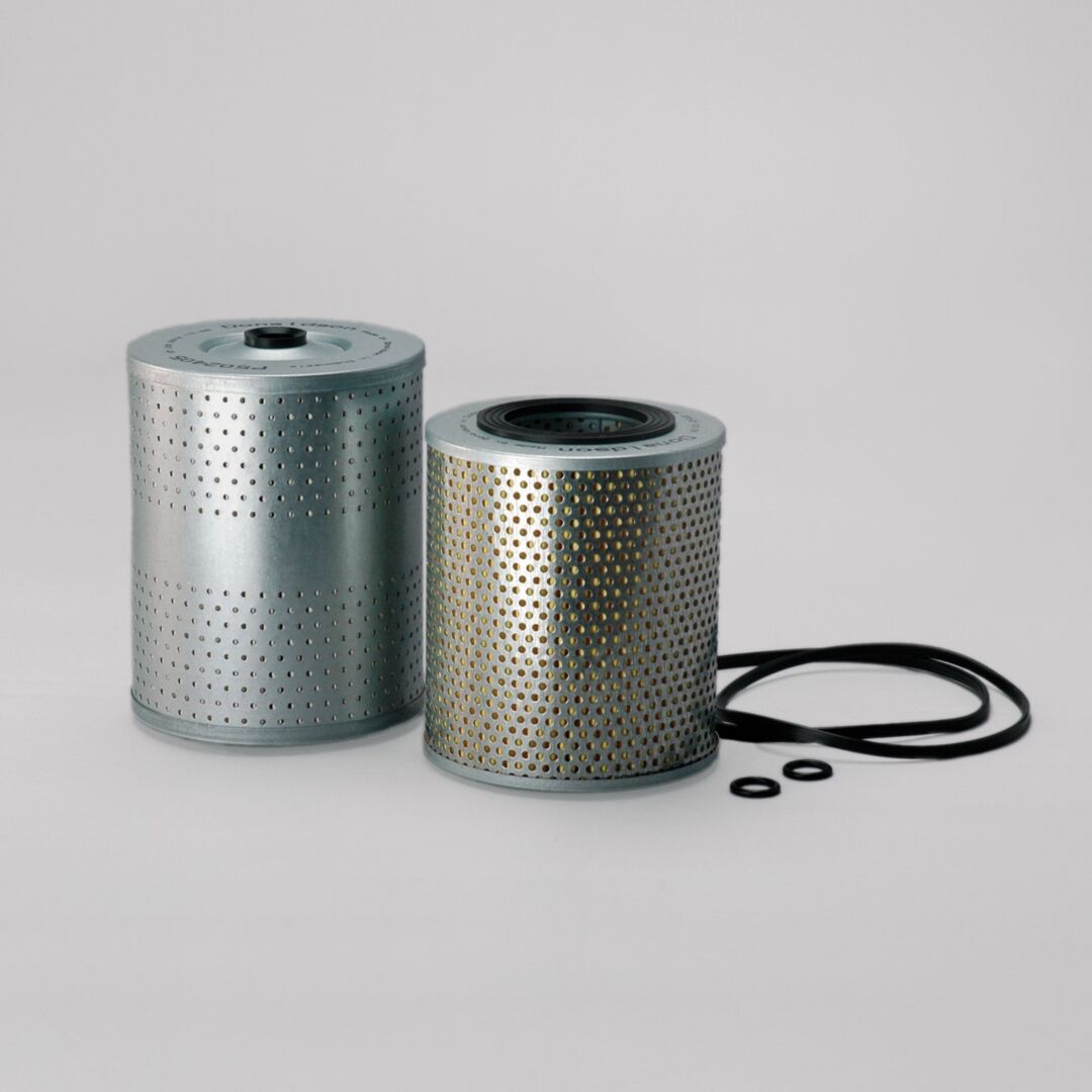 P550065 D/S, Lube Filter Kit | Donaldson