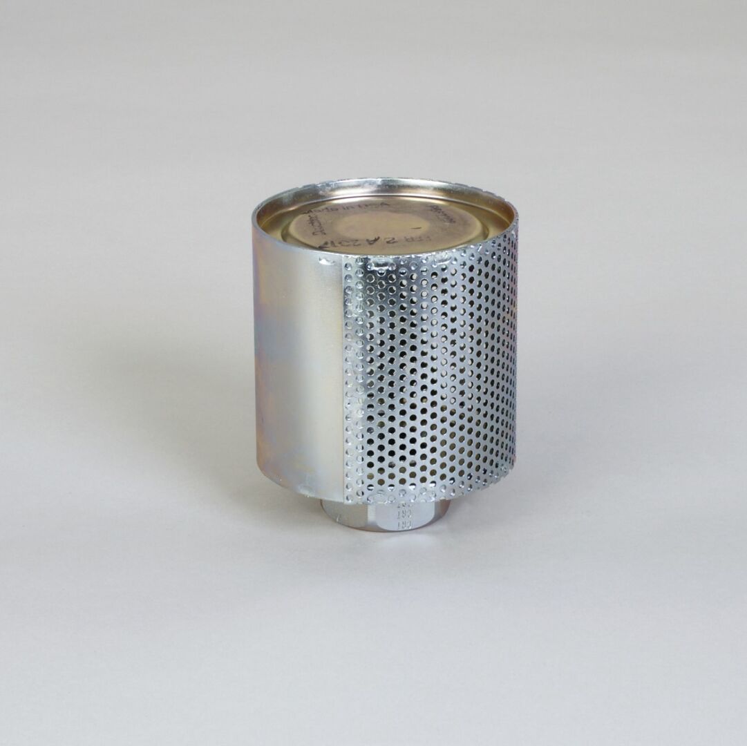 P562288 D/S, Diffuser | Donaldson