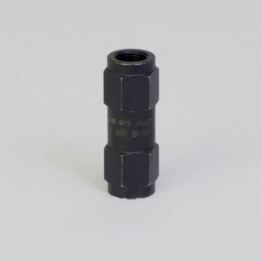 P562301 D/S, Check Valve | Donaldson