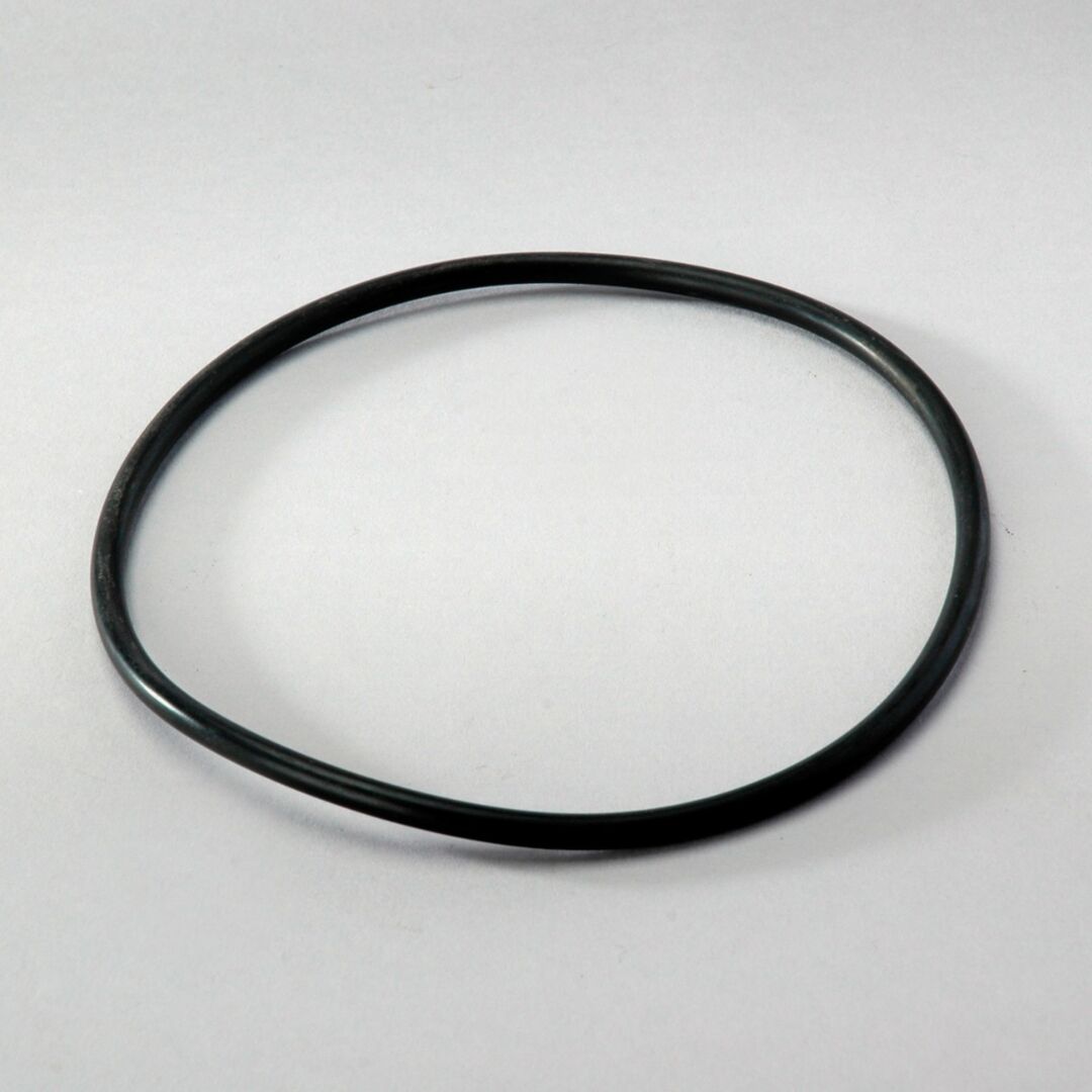 P563968 D/S, Seal | Donaldson