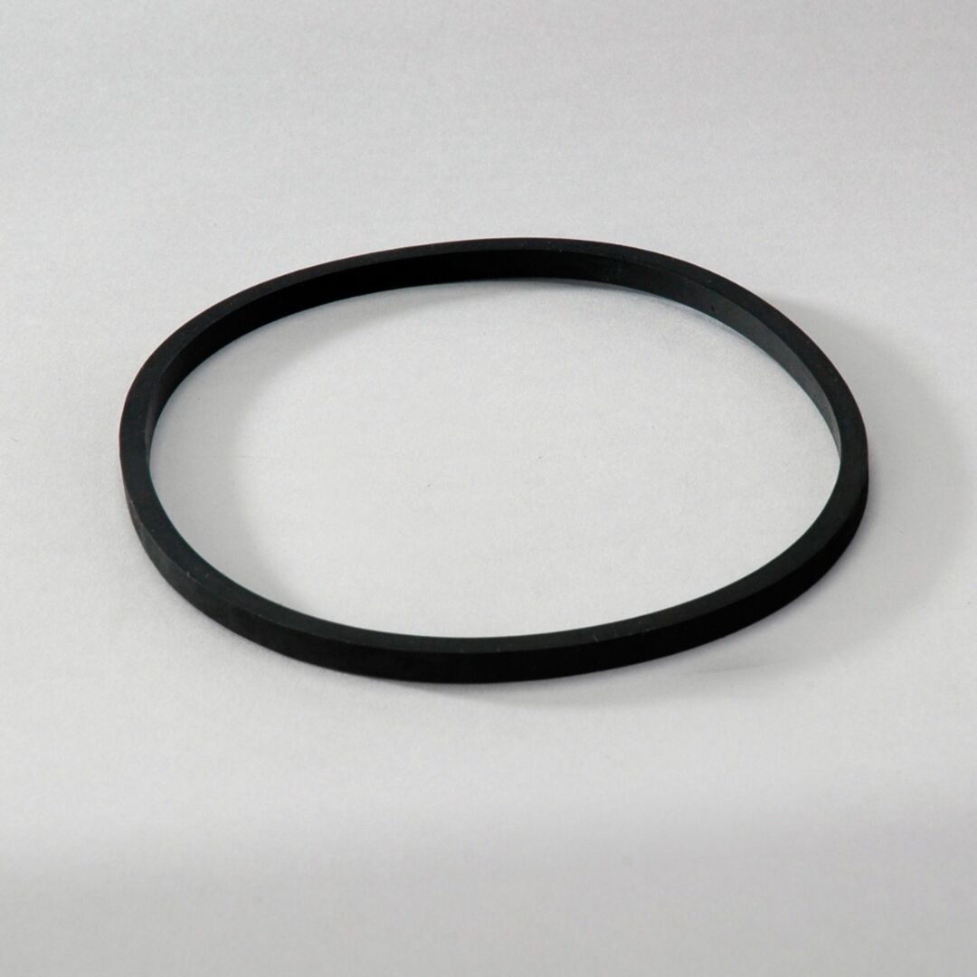P563969 D/S, Seal | Donaldson