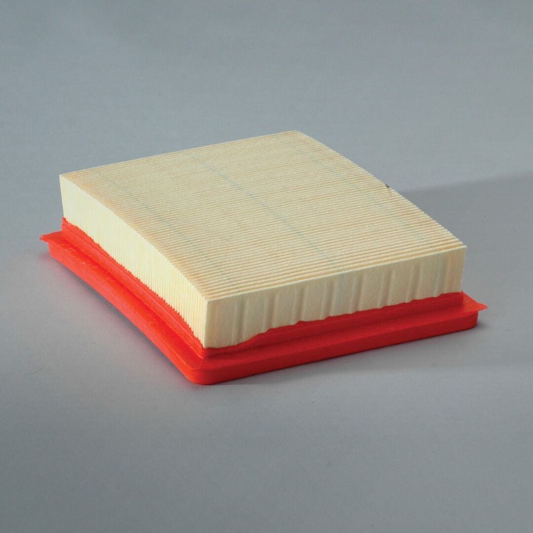 P606219 D/S, Air Filter, Panel | Donaldson