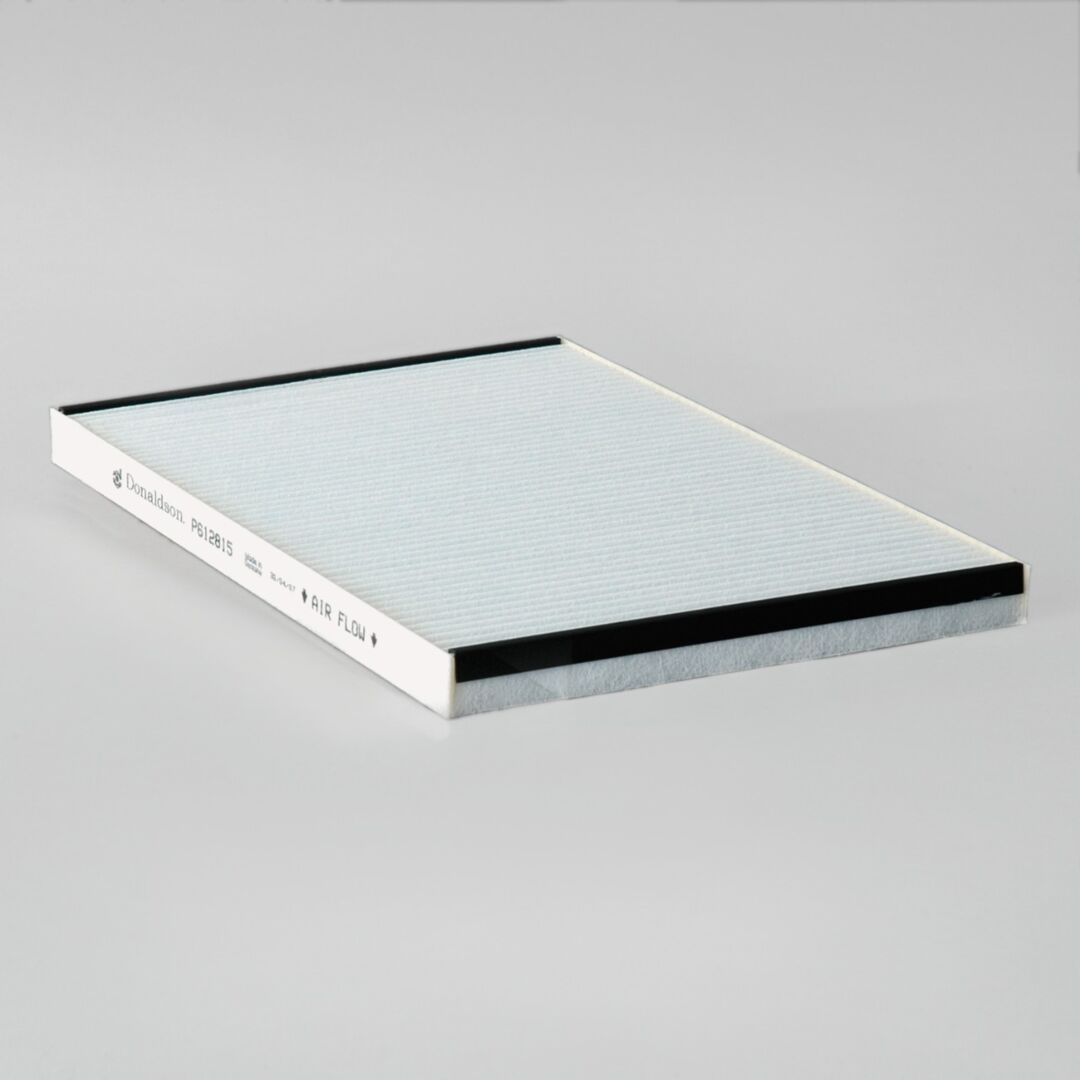 P612815 D/S, Air Filter, Panel Ventilat | Donaldson