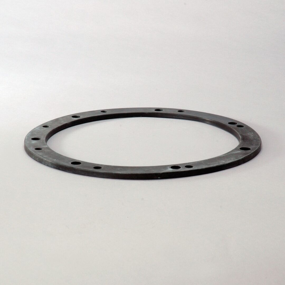 P616307 Ds, Gasket, Case Of 5 | Donaldson