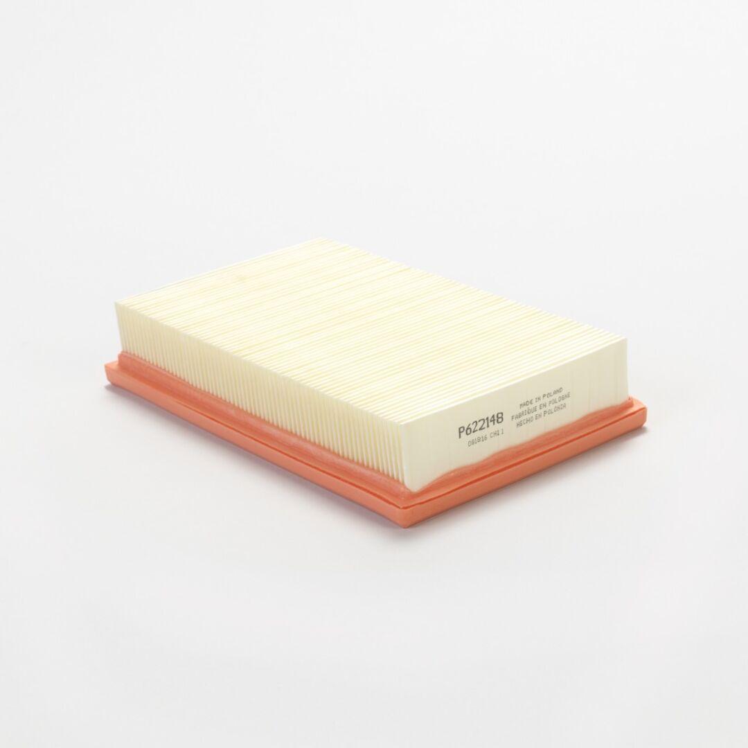 P622148 D/S, Air Filter, Panel | Donaldson