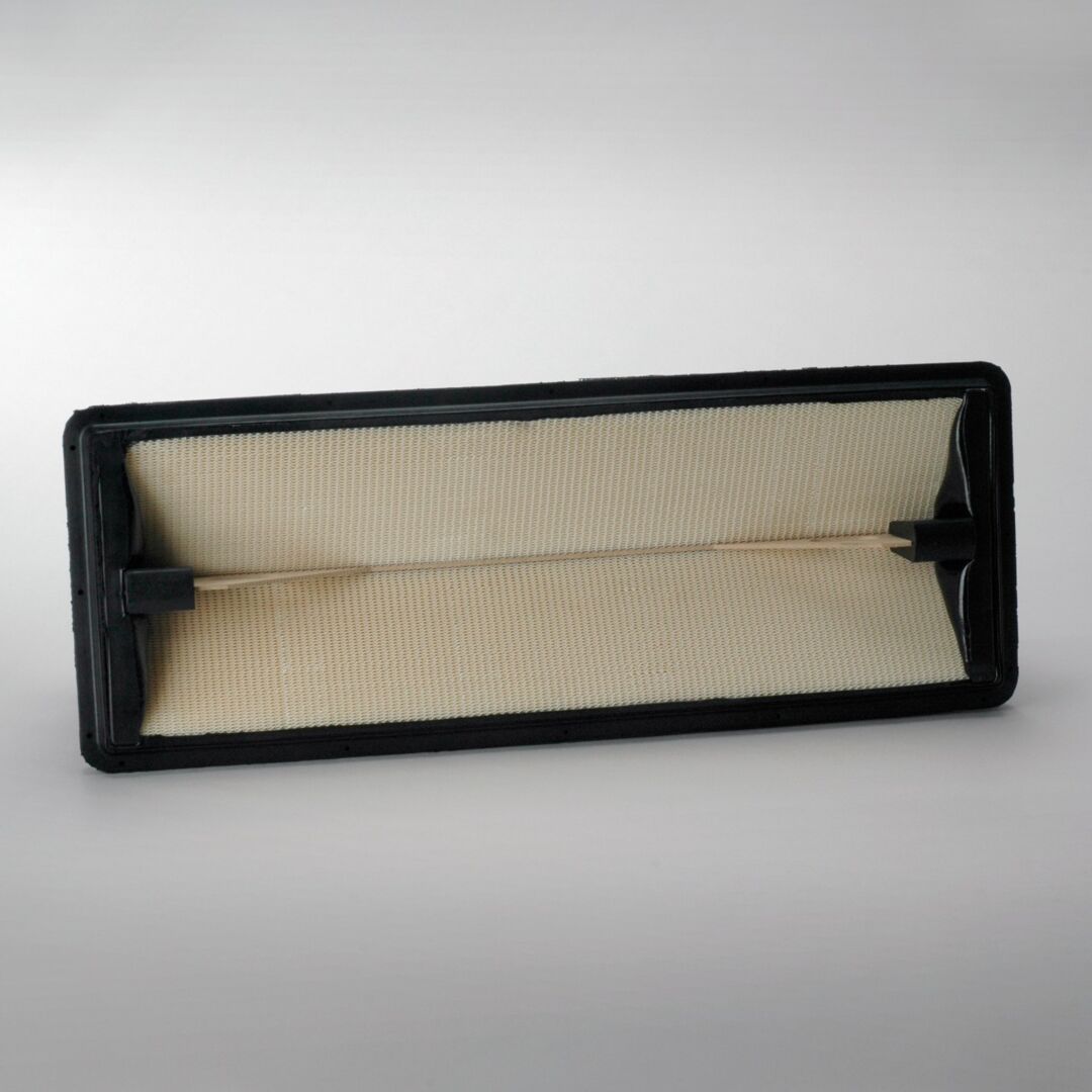 P629641 D/S, Filter Assembly Panel | Donaldson