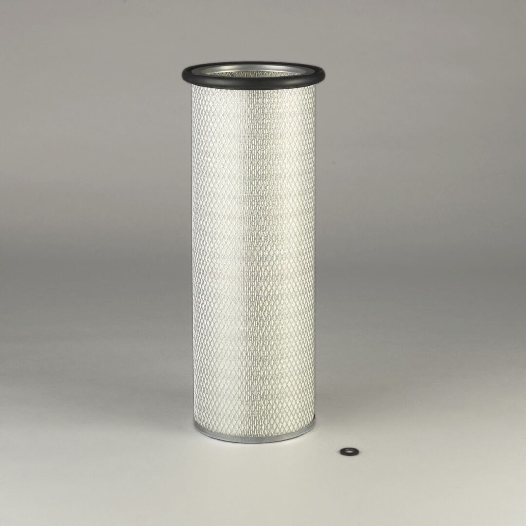 P776102 D/S, Air Filter, Safety | Donaldson