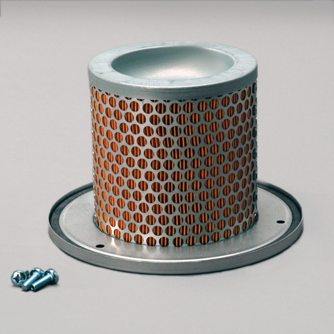P783501 D/S, Air Filter, Safety | Donaldson