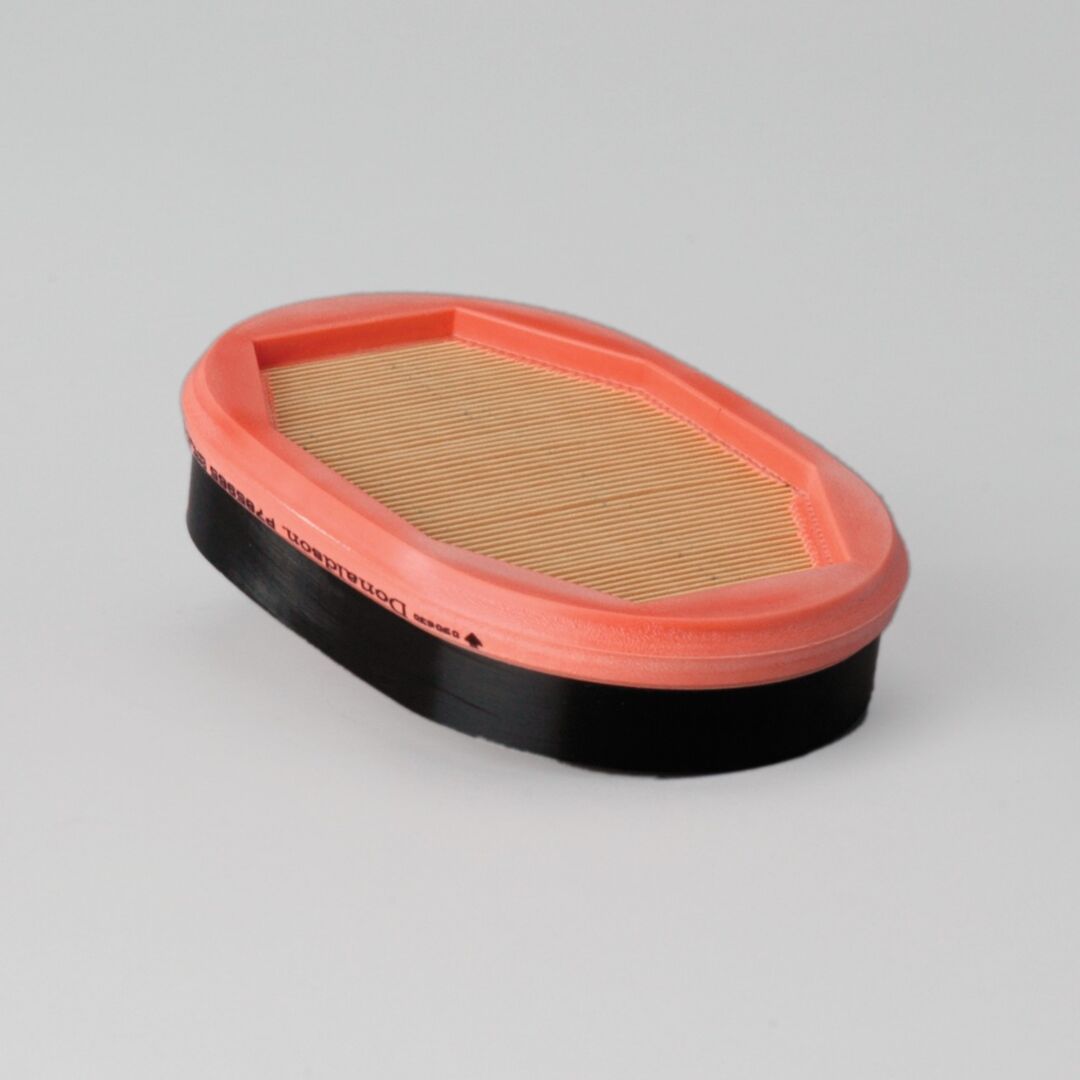 P785965 D/S, Air Filter, Safety | Donaldson