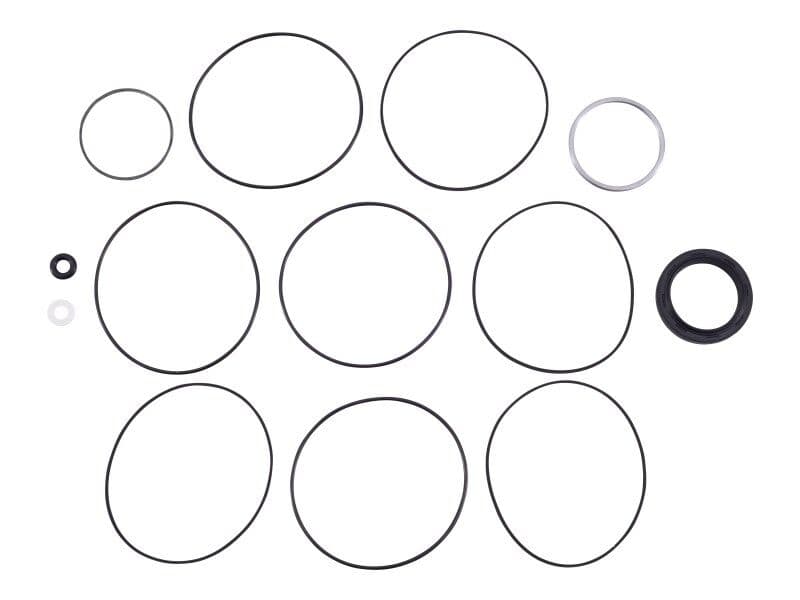 110702 Seal Kit | Skyjack