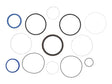 Part Number 9-197096 Seal Kit, Lift Cylinder fits Skyjack