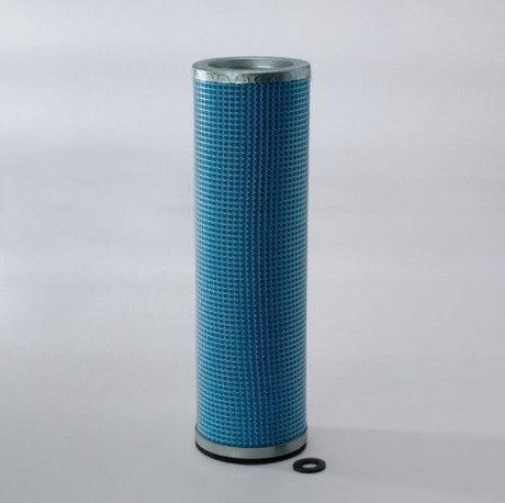 P133138DFS Air Filter Safety