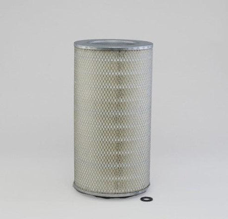 P545613DFS Air Filter Primary Round Genuine Genie