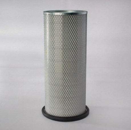 P122425DFS Air Filter Genuine Genie