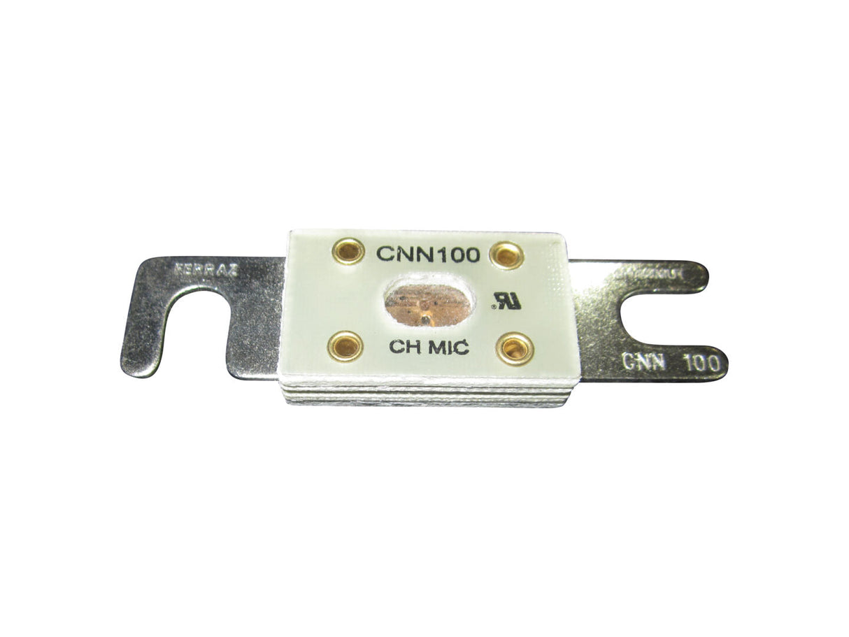 010148-002 Fusible, 100 amperios | Vertical