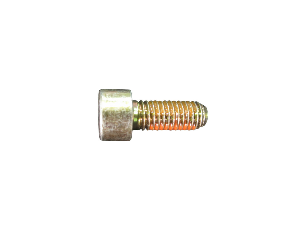 0636031169 Screw Cap | ZF